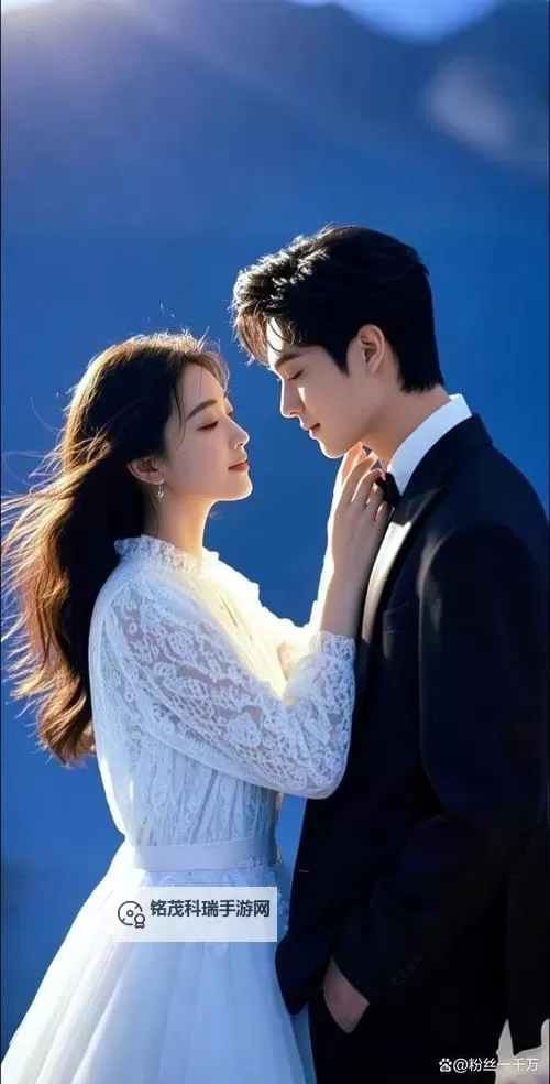 探索感人瞬间:最美情侣中文视频感动你的心弦图1