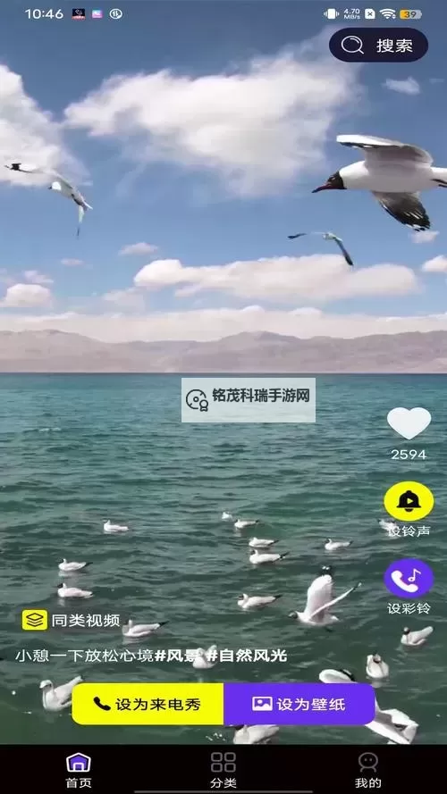 探索无限可能:星空传媒视频在线带你领略精彩世界图1