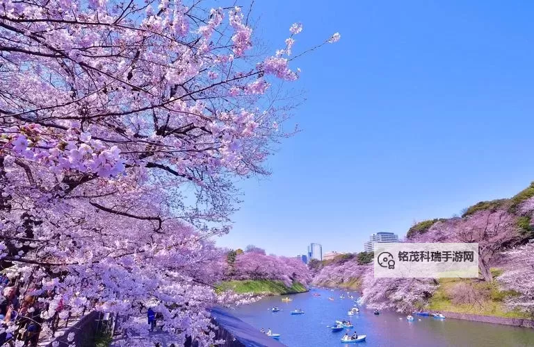 探索最好看日本免费景点推荐,让你免费畅游日本之美图1