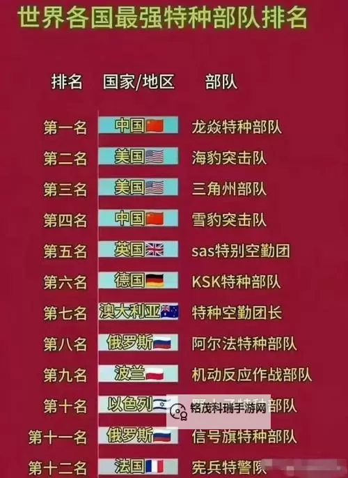 战术小队有几个国家:全球合作背景下的多国阵容解析图2