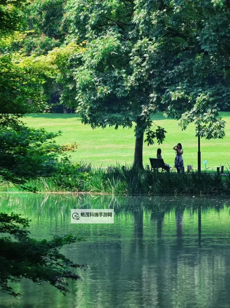 探索禁忌：深入揭秘变态另类天堂的秘密世界图1