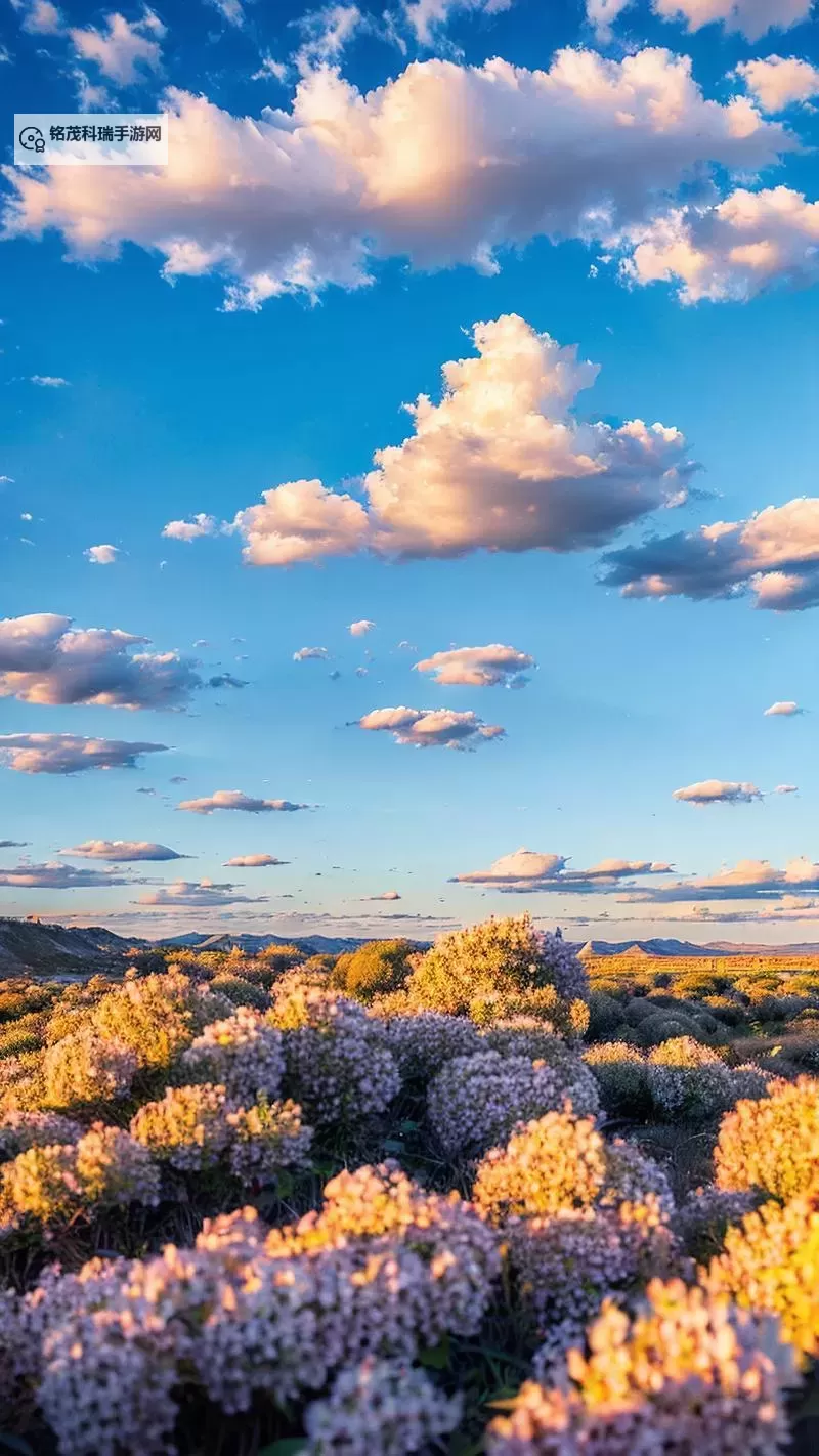 在线观看国产国内视频，尽享优质本土内容首选平台图1