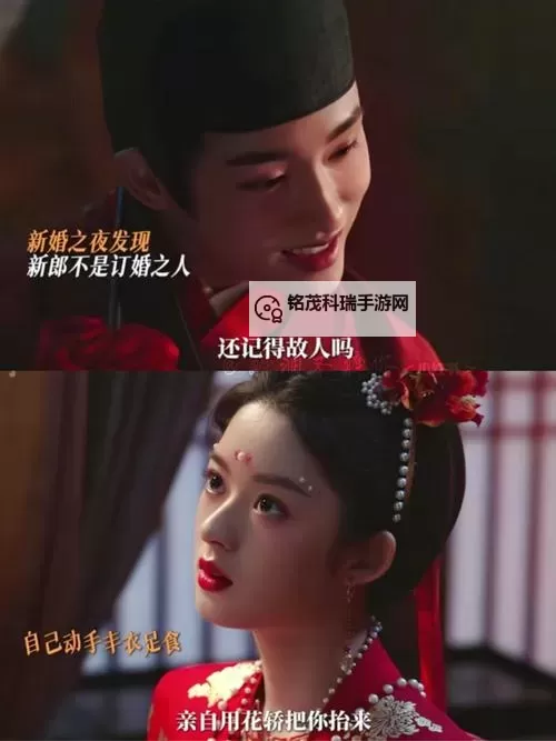 御花园皇上撞着太子妃：宫闱情缘的惊喜邂逅图1