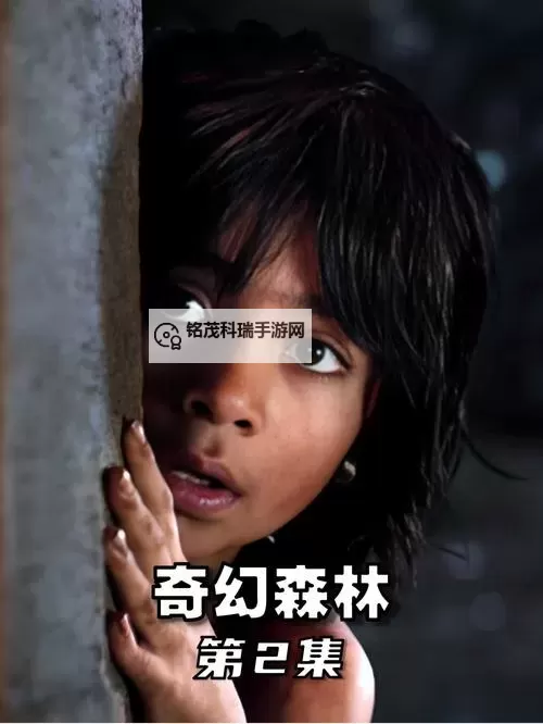 仙踪林视频在线观看:探索奇幻森林的精彩世界图1