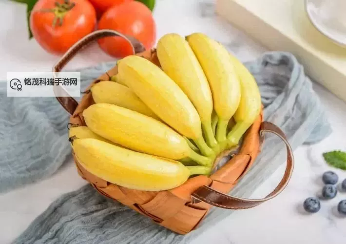 一到香蕉九九视频:精彩绝伦的视觉盛宴图1