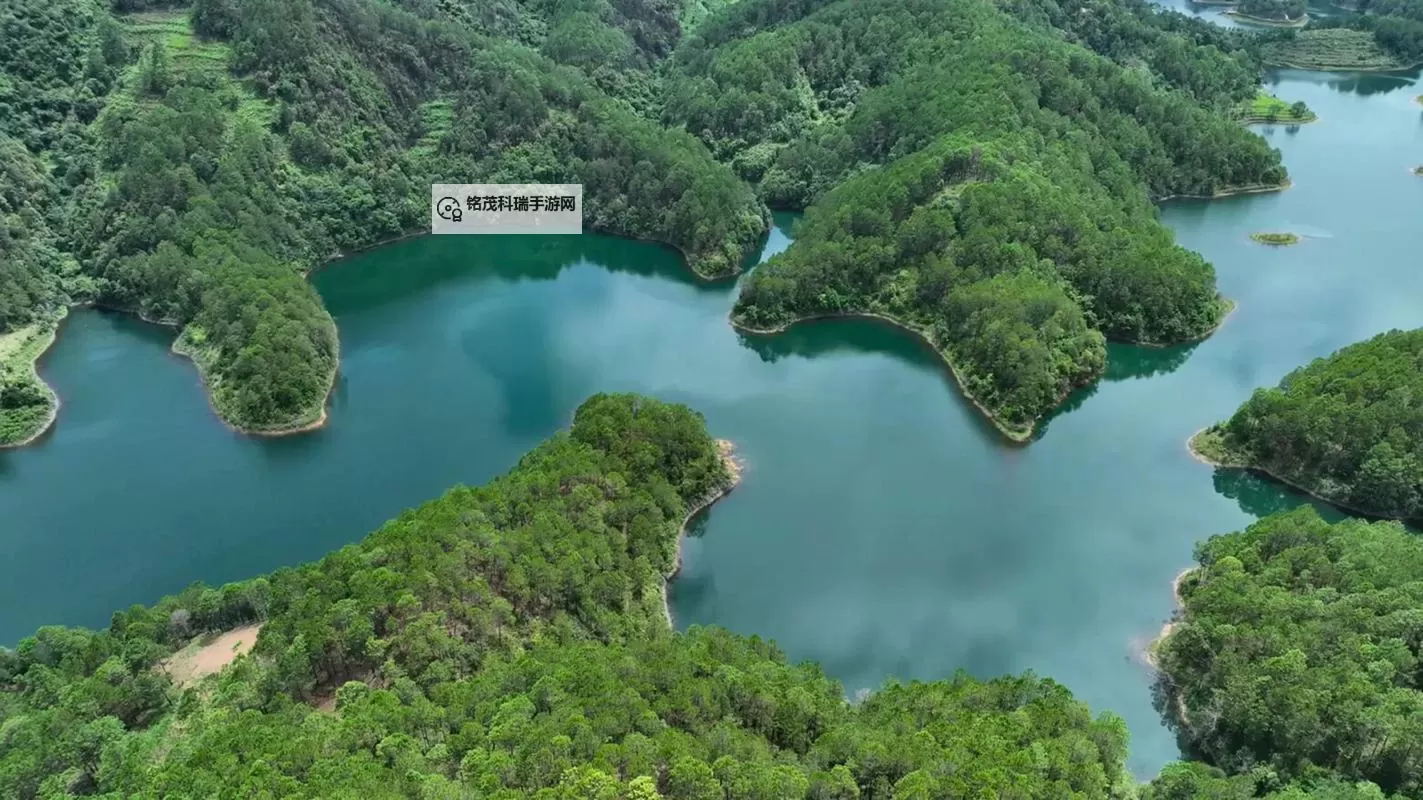 揭秘爆石龙老大:传奇龙族的崛起与统治图1