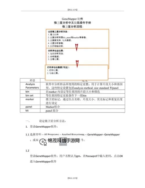 Prototype2怎么设置中文：详细操作指南图1