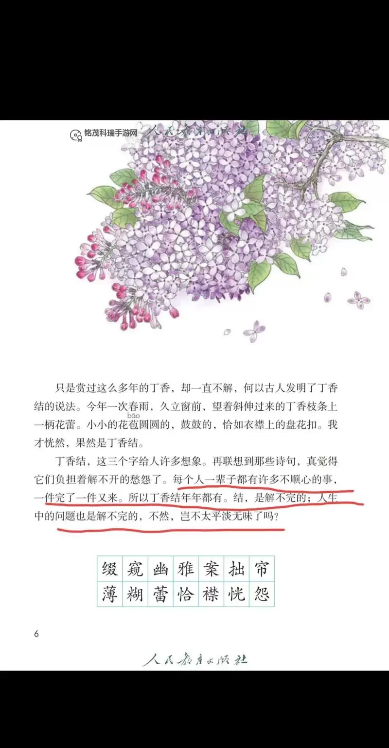 丁香久久:芬芳永恒的诗意生活图1