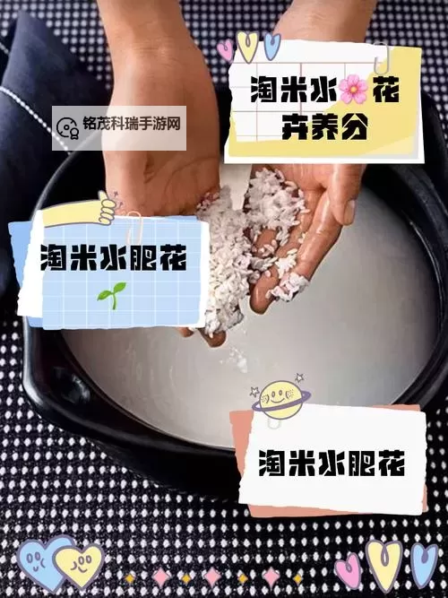 用什么水淘米:保证米饭香甜的最佳选择图1