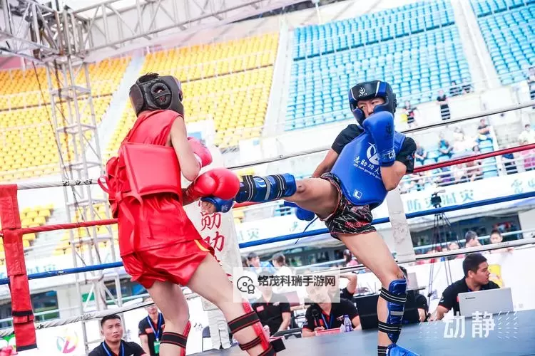 男格斗散打精英争锋:激情与实力的激烈比拼图1