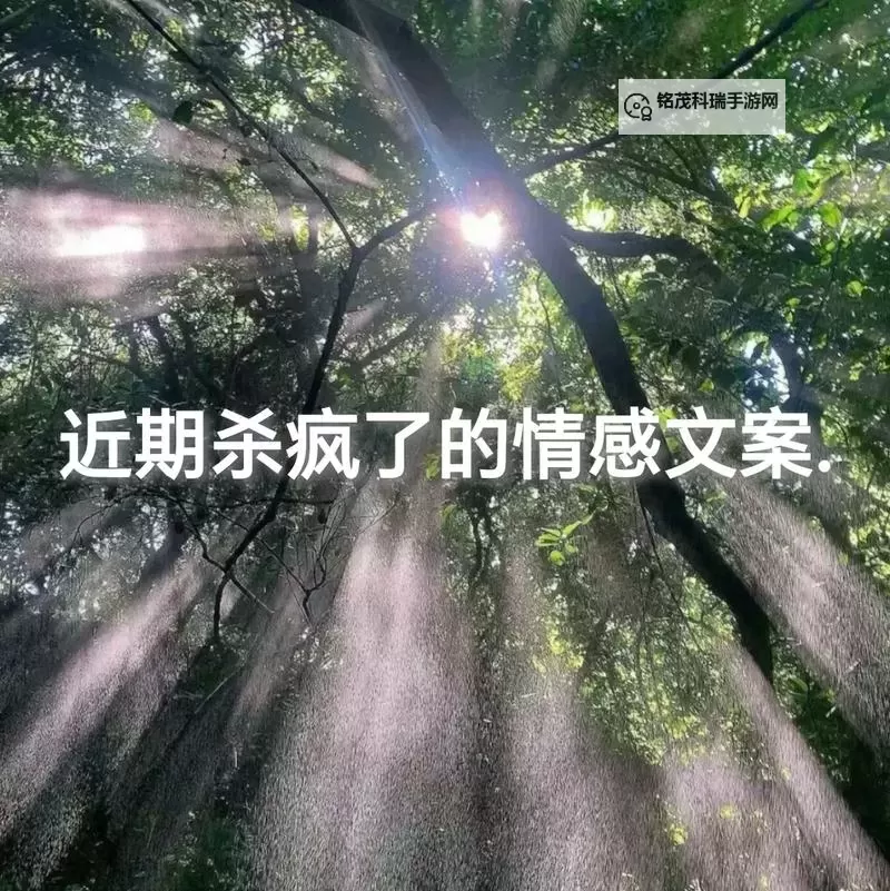 只是什么时候才能勇敢说：只是爱要怎么说出口图1