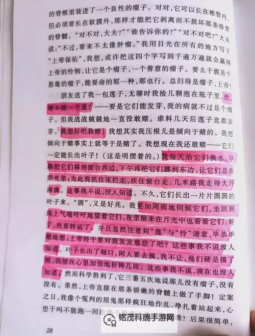 自己对准了坐下来视频:展现真实瞬间的记录与反思图1