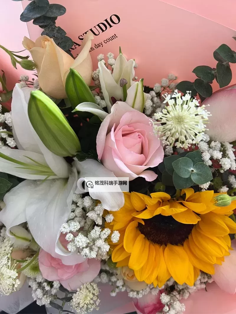 在花海中绽放:拥抱春天的罗曼史图1