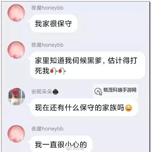 揭秘成都黑帽门在线事件背后真相与影响图1