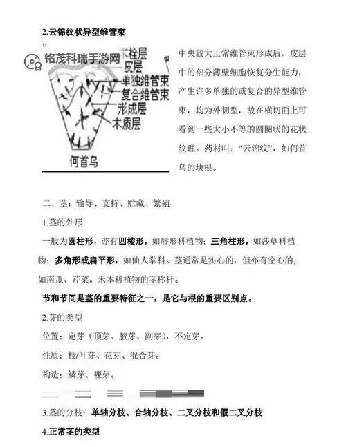 热血无赖蛇年特别版图文攻略：全面指南助你轻松通关图1