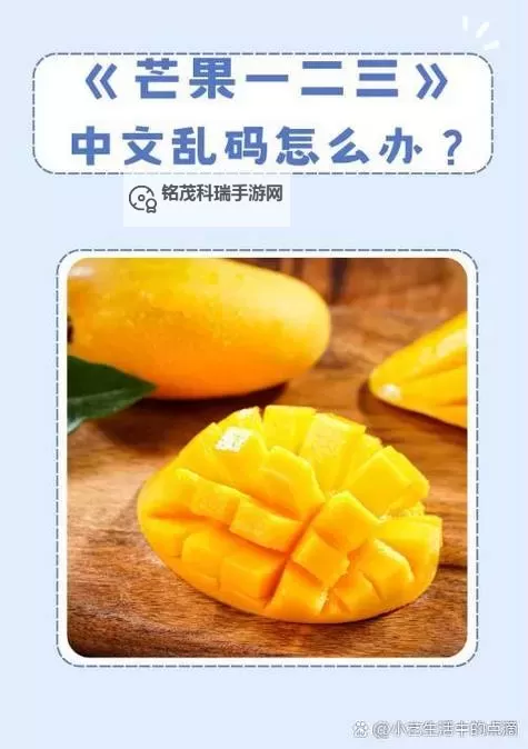 芒果一区二区三区四区乱码:破解技术解析与最新应对策略图2