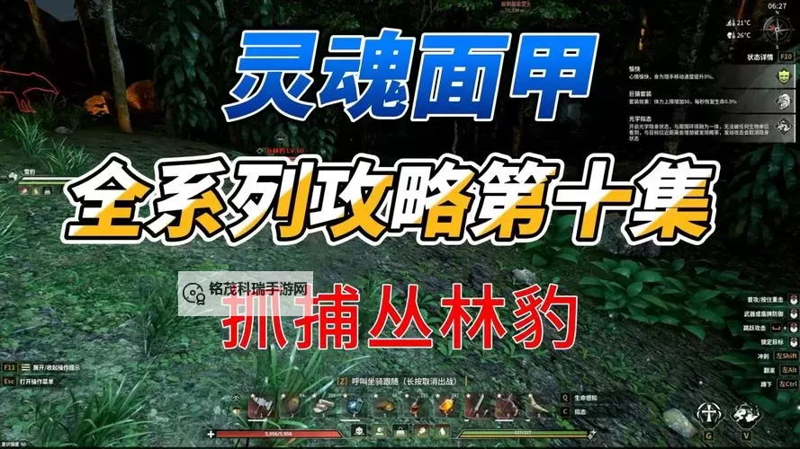 揭秘影踪突袭营布甲的打造秘密与实用技巧图1