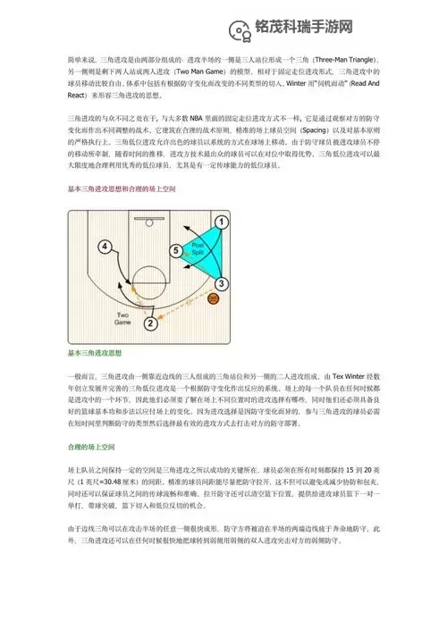 战术小队入门指南：初学者必读的基础知识与实战技巧图1