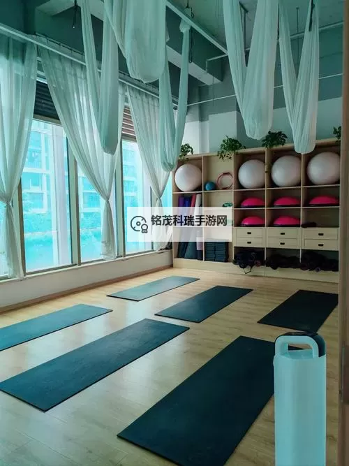 瑜伽鲍沟大户型图片赏析:理想安居的宽敞空间选择图1