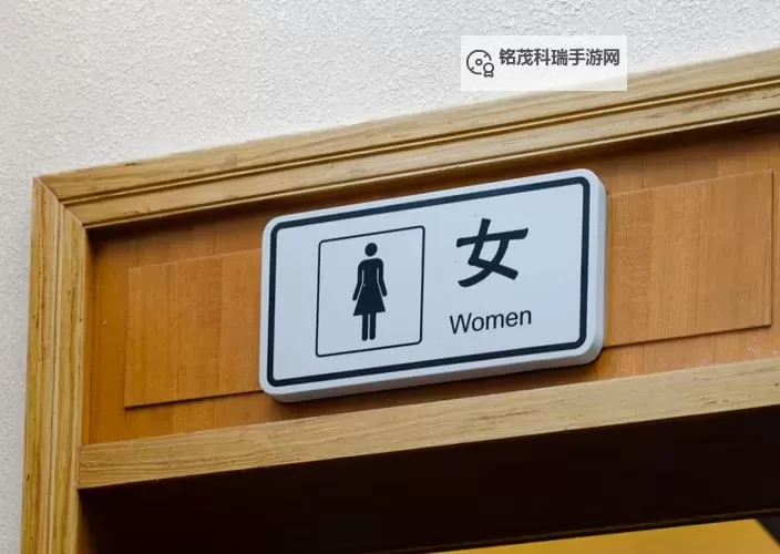 中国精品女厕toilet22：打造高品质女性公共卫生空间的新标杆图1