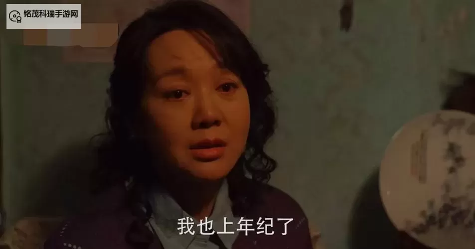 岳潮湿的大肥赵兰梅：乡村人生的百味人生图1