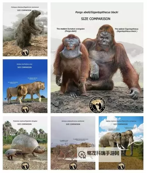 理解远古生物羁绊什么意思：探索远古生物之间的奇妙联系图1