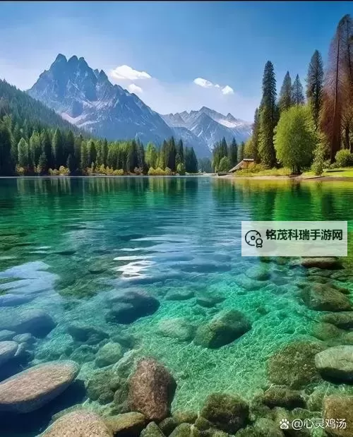 奏钢部长最新消息：行业动态与政策新动向解析图1