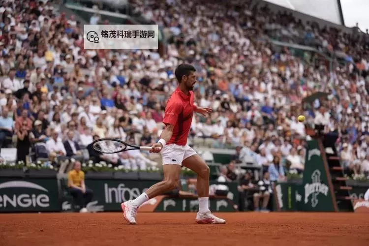 2012法网:塞皮德对阵德约科维奇的经典之战图1