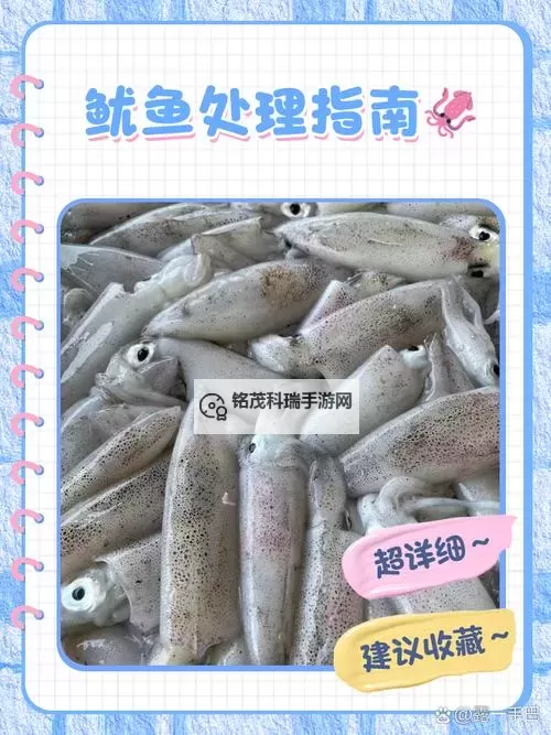 鱿鱼网进入官网BY2282:最新入口指南与详细流程攻略图1