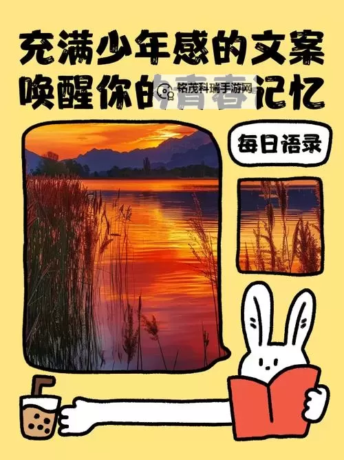 五月网狠俺也要:青春不服输的热血宣言图1