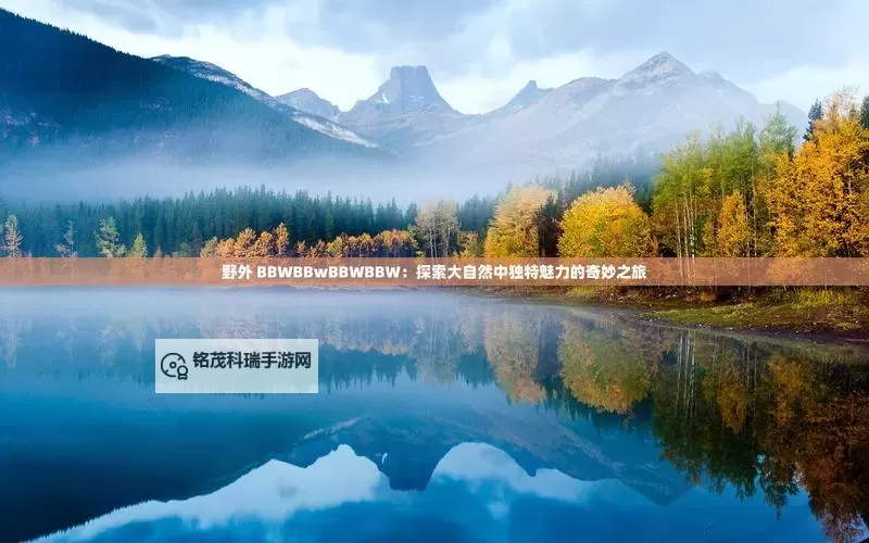 中国bbwbbw：探索现代都市中的多元魅力图1