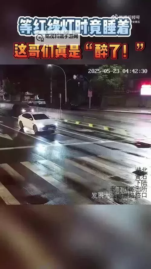 醉驾男子撞翻车又爬回车内酣睡：荒诞夜晚引发警察忧虑图1