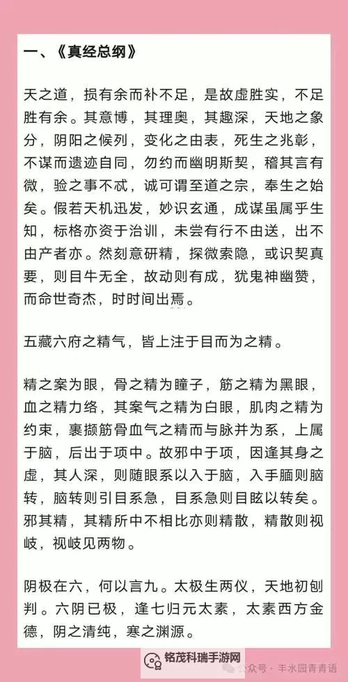 九阴真经金蛇剑法配什么内功最强搭配指南图1