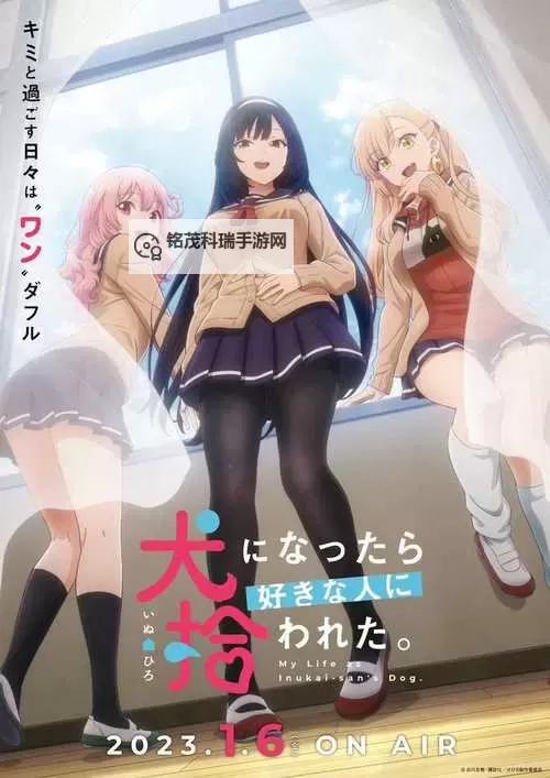 VKlVideo在线观看免费:免费在线观看热门影视资源的最佳平台图1