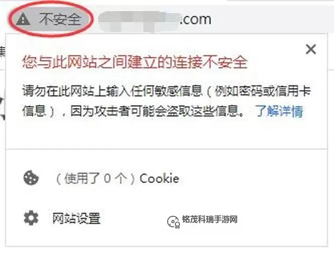 2024年最新排名：十大禁止在线播放网站详解与风险提示图1