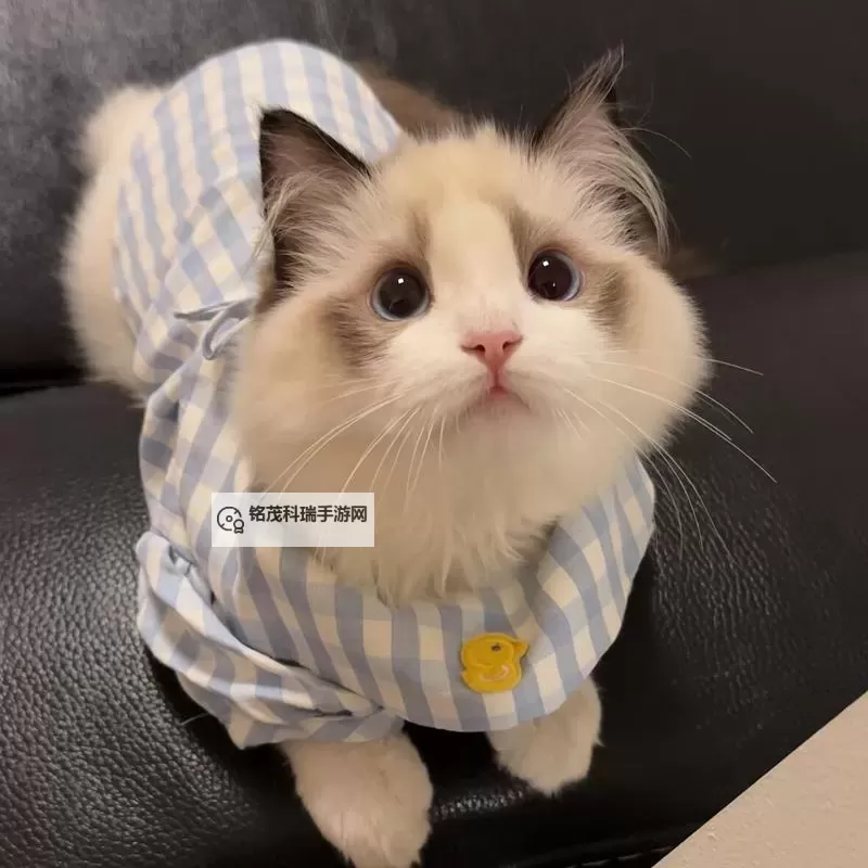 探索未来宠物：揭秘新版猫咪vunbzf.xyf的创新魅力图1