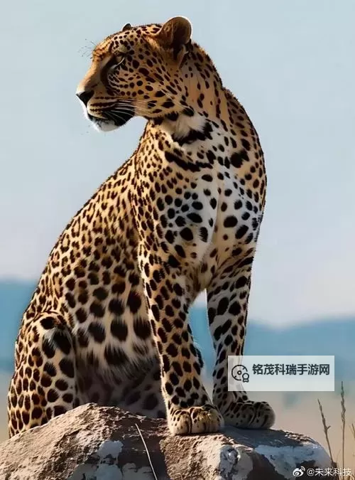 征服美艳市长宁雪：追寻梦想的辉煌之路图1