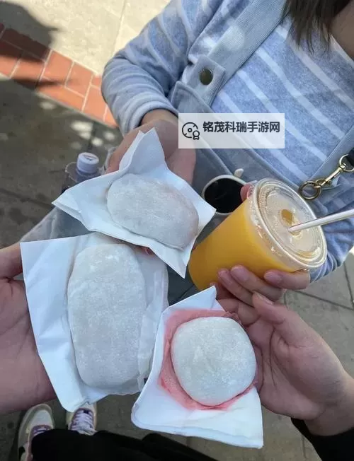 桃源之门怎么去石墓九层：详细攻略指南图2