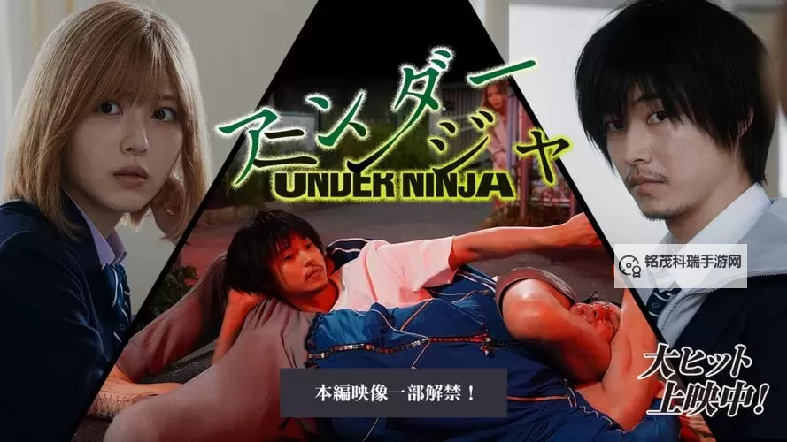 免费日本925视频：高品质正版内容尽在这里图2