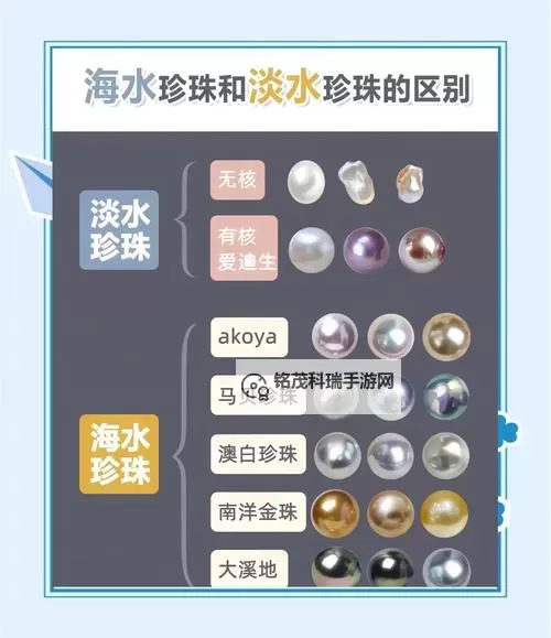 混元珍珠伞怎么和水系:搭配技巧与实用建议图1