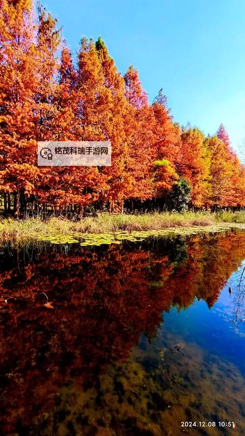 萌白酱在线喷水：趣味十足的可爱互动体验图1