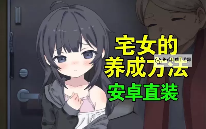 御宅伴侣高压版：极致体验与挑战并存的宅宅之旅图1