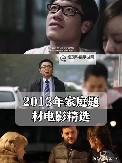 最新上映的精彩佳作：2013年近期必看的好看电影推荐图2