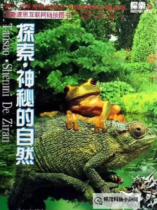 探索最好的中文视频：揭示最好看的中文作品精选图1