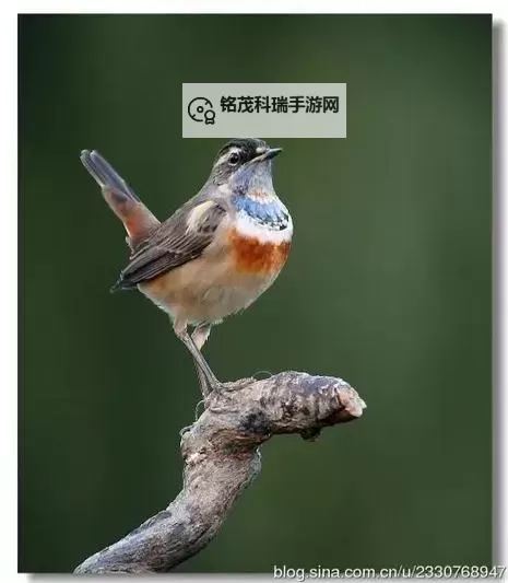 祖玛阁去血色广场怎么去 最全攻略指南图2