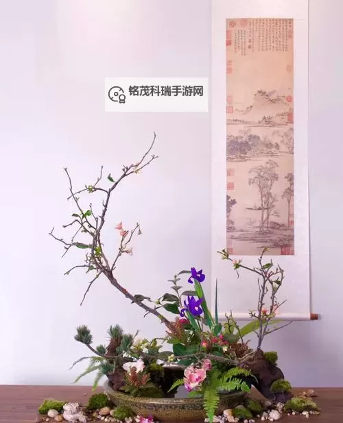 紫龙插花芯方正在艺术插花中的完美表现图1
