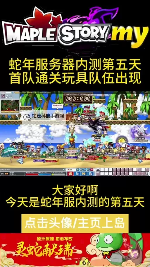 冒险岛有几关？全面解析游戏关卡设置与玩法介绍图2