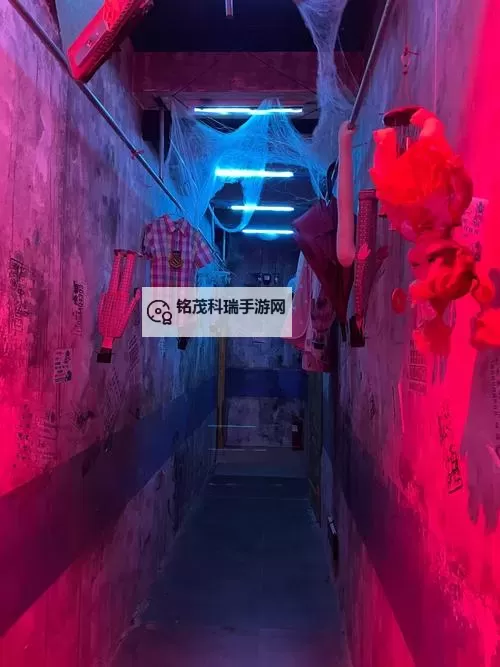 帐篷里的秘密未裁剪未布卡:隐藏在夜色中的神秘真相图1