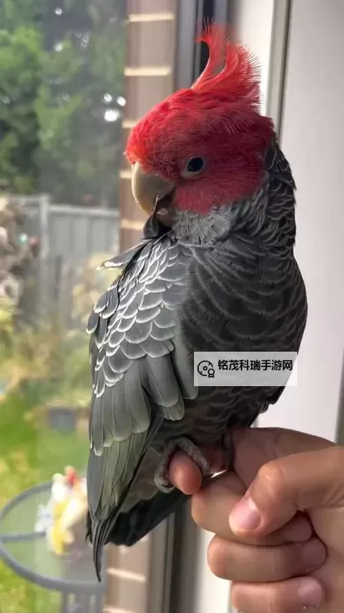 《惩戒之箭最新出装攻略：打造最强战斗力的终极搭配》图1