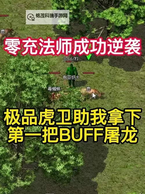 虎卫在哪里召唤攻略详解，轻松召唤虎卫的方法图2